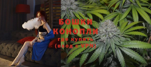 гашик Белокуриха