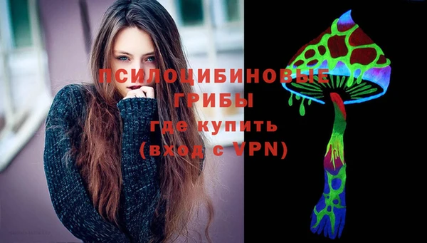 гашик Белокуриха