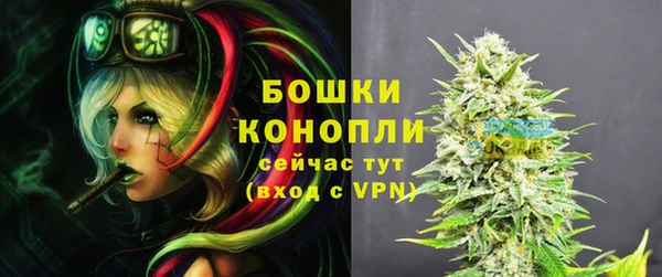 гашик Белокуриха